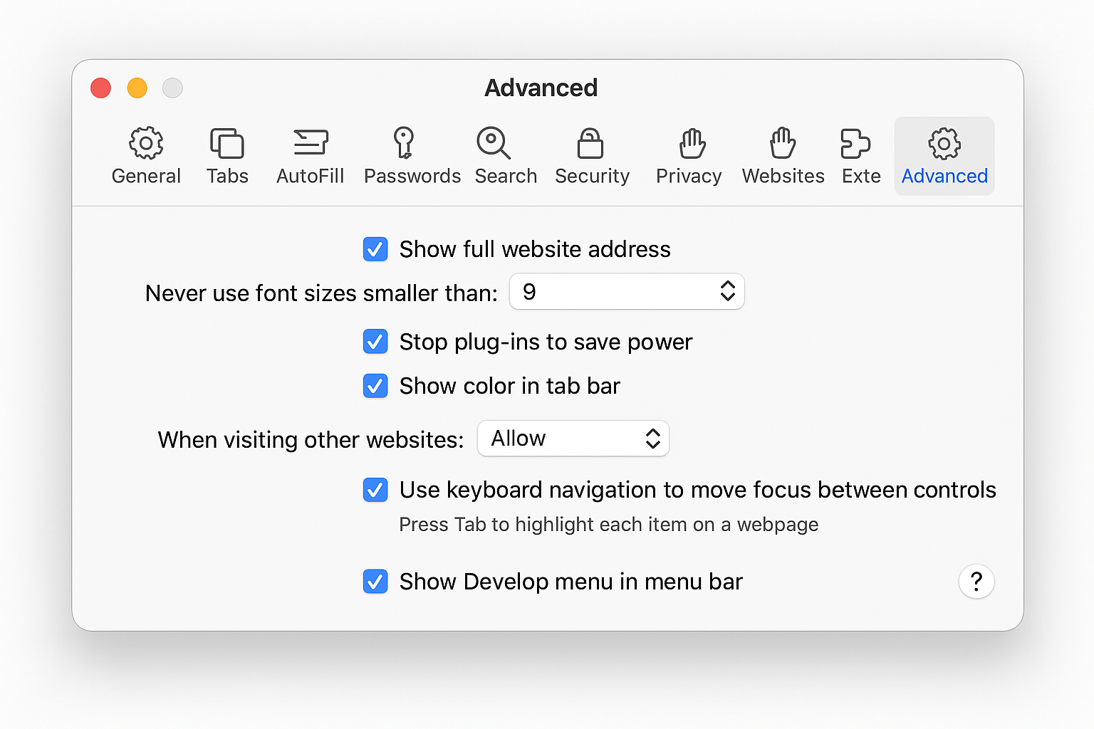 Safari Advanced settings showing the web developer features checkbox