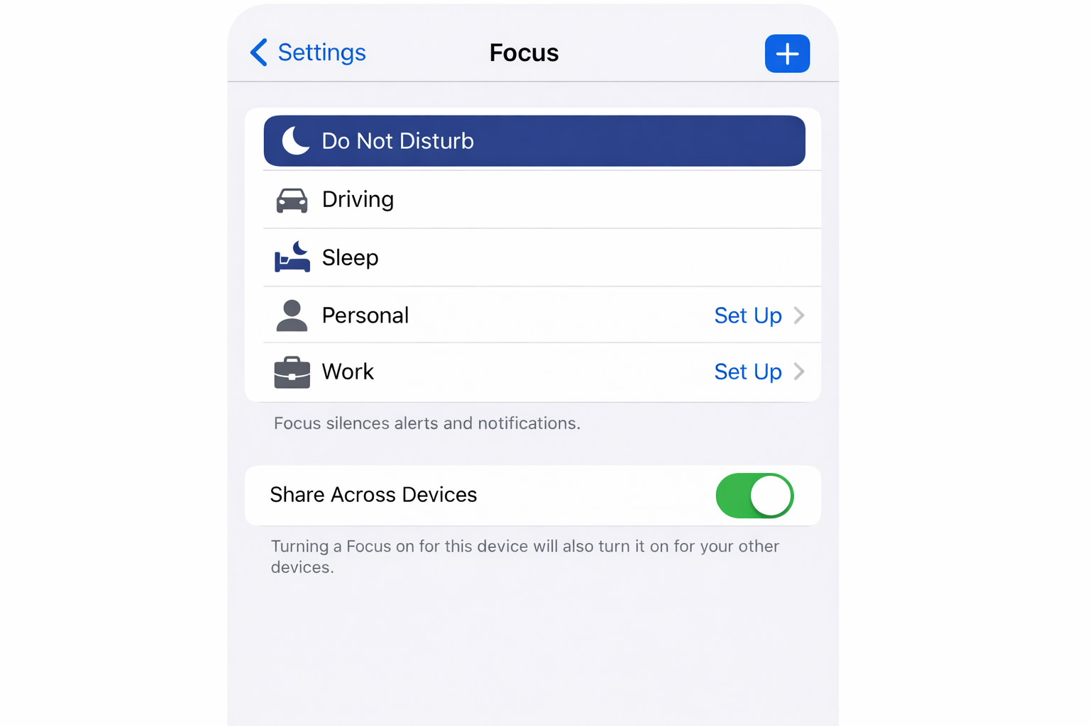 iPhone Settings app showing the Focus section with Do Not Disturb listed and highlighted among the Focus options