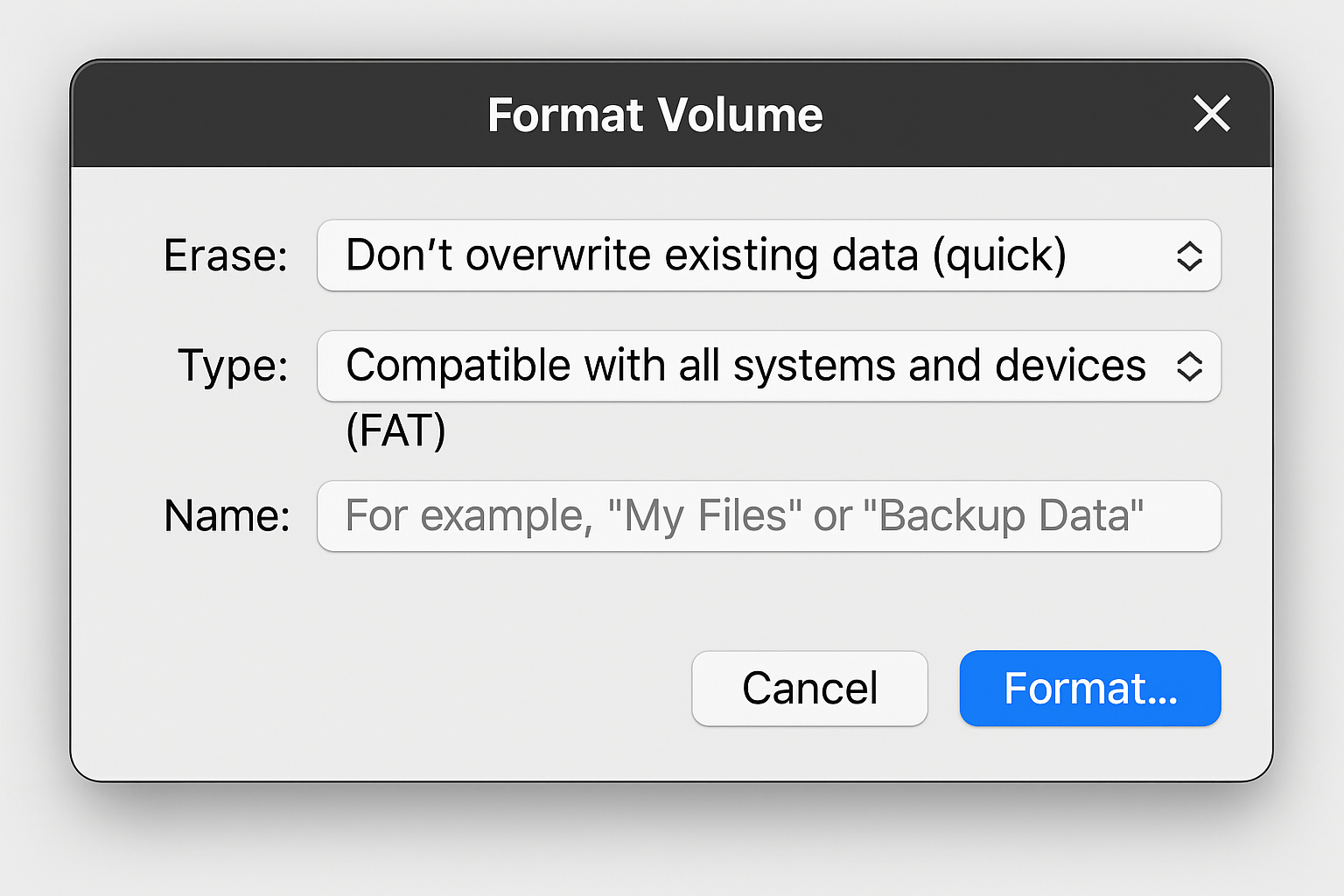 Erase dialog showing format options