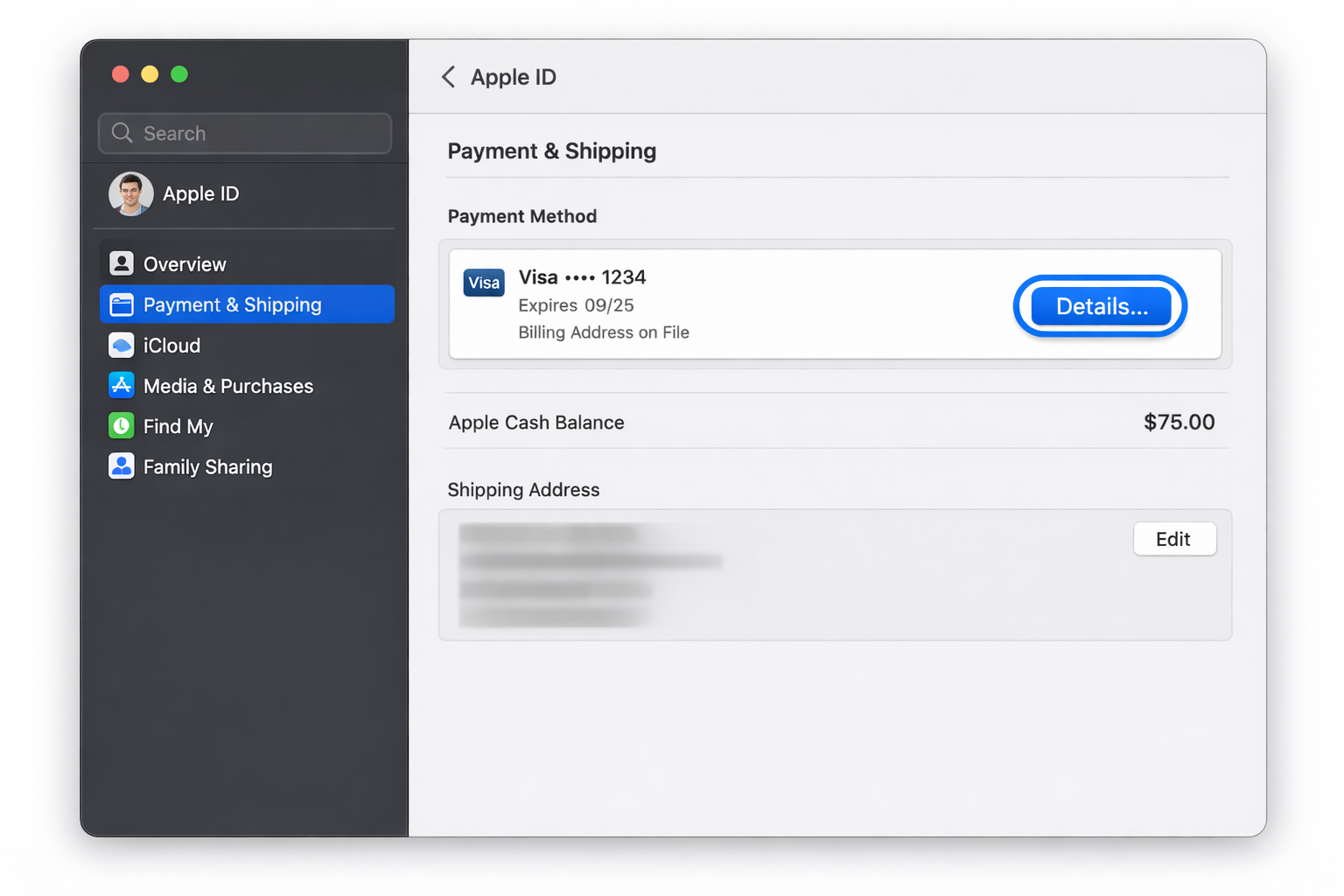 macOS System Settings > Apple ID > Payment & Shipping in Edit mode, with a saved card row expanded and a Details button highlighted