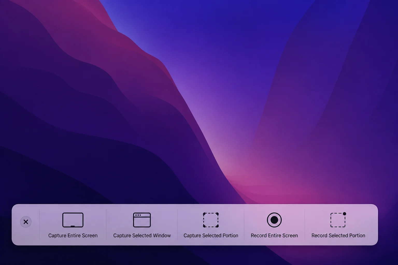macOS screenshot toolbar floating at the bottom of the screen with options for Capture Entire Screen, Capture Selected