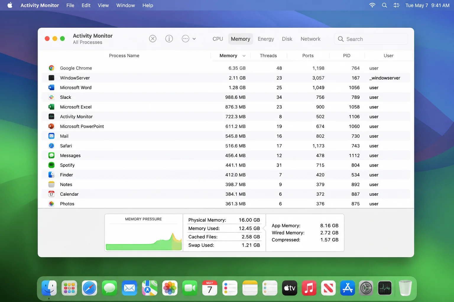macOS Activity Monitor app with the Memory tab selected, showing the process list sorted by memory usage and the color-coded Memory Pressure graph at the bottom