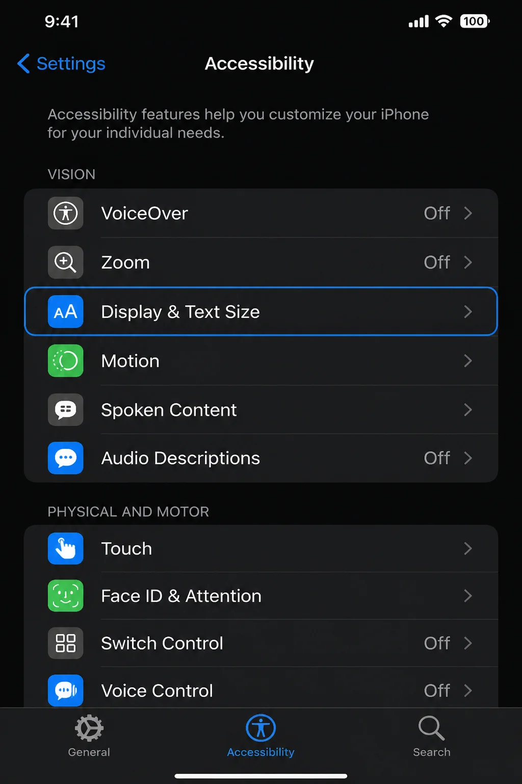 iOS Settings app > Accessibility screen with Display & Text Size option highlighted under the Vision section
