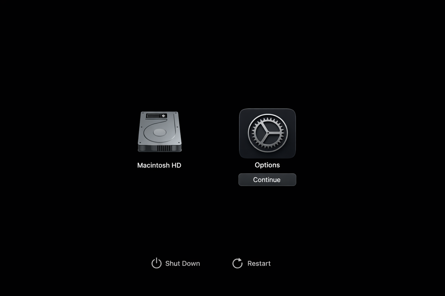 macOS Apple Silicon startup options screen showing the Options gear icon and Continue button