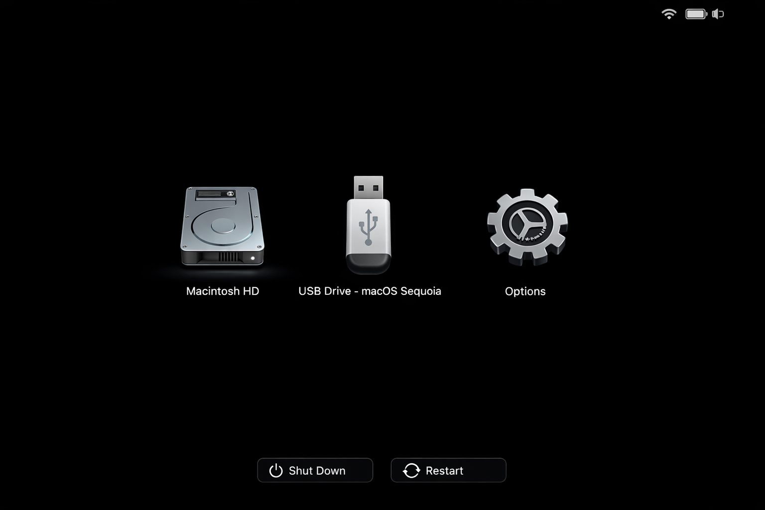 macOS startup options screen on Apple Silicon showing the bootable USB installer drive as a selectable option alongside