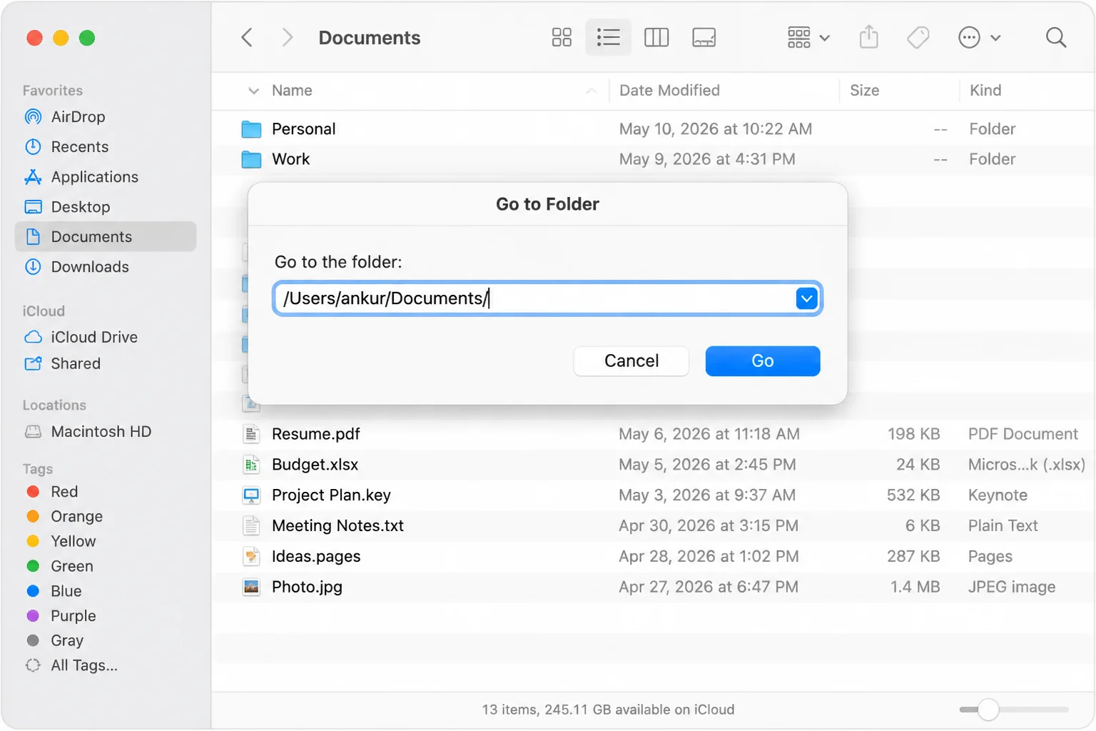 Finder's Go to Folder dialog with a full POSIX file path entered in the input field, showing the path ready for navigation or copying