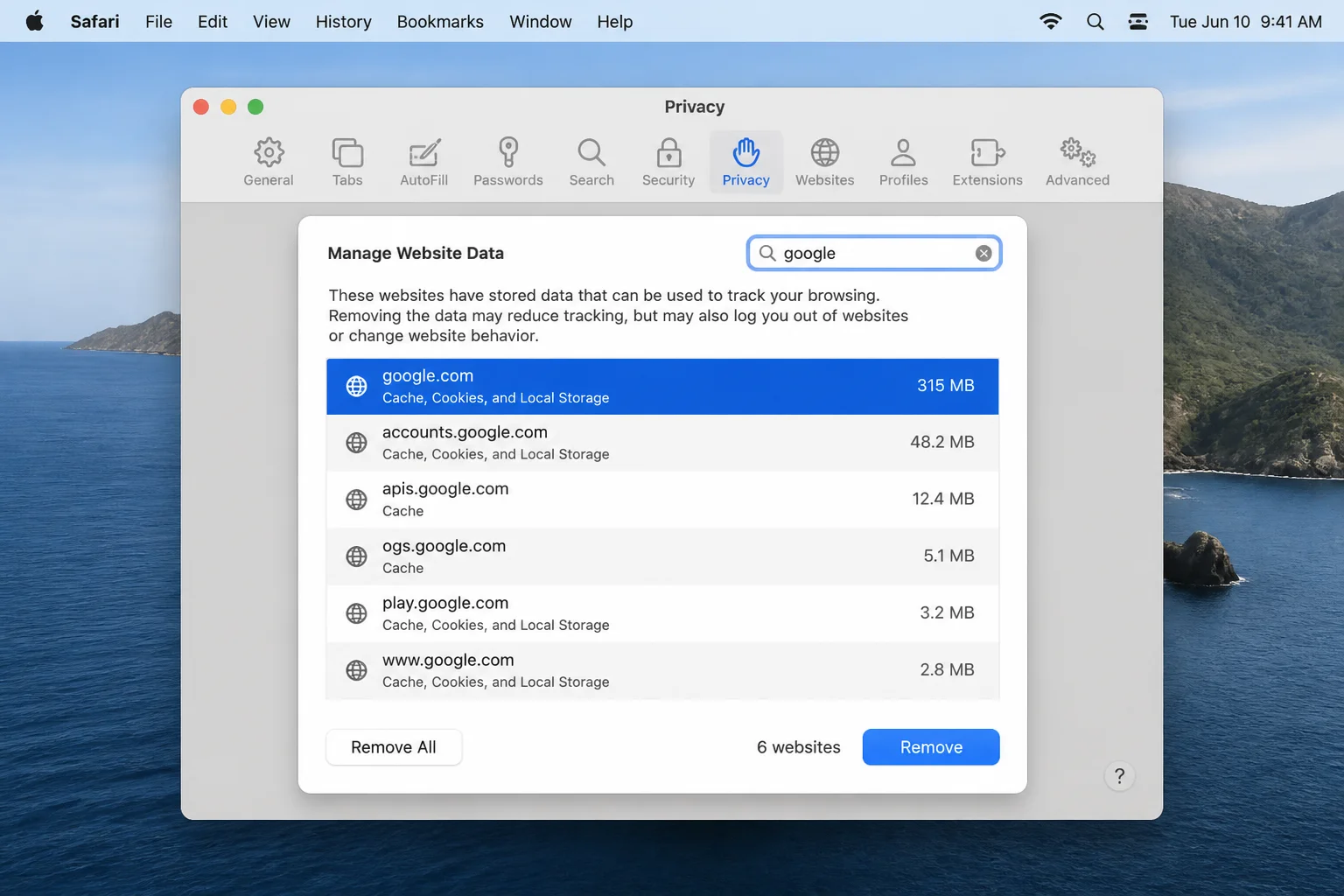 Safari Manage Website Data dialog with google entered in the search field and relevant entries plus the Remove button highlighted