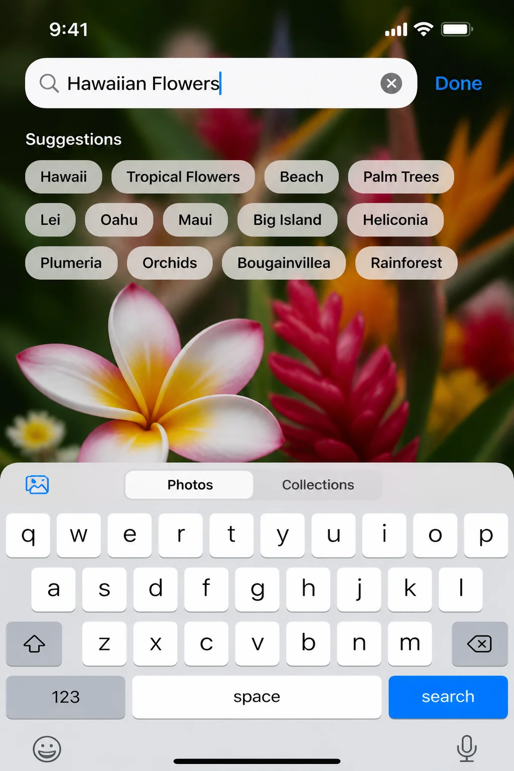 Photos search field with a keyword query typed in, showing live suggestion chips appearing beneath the search bar