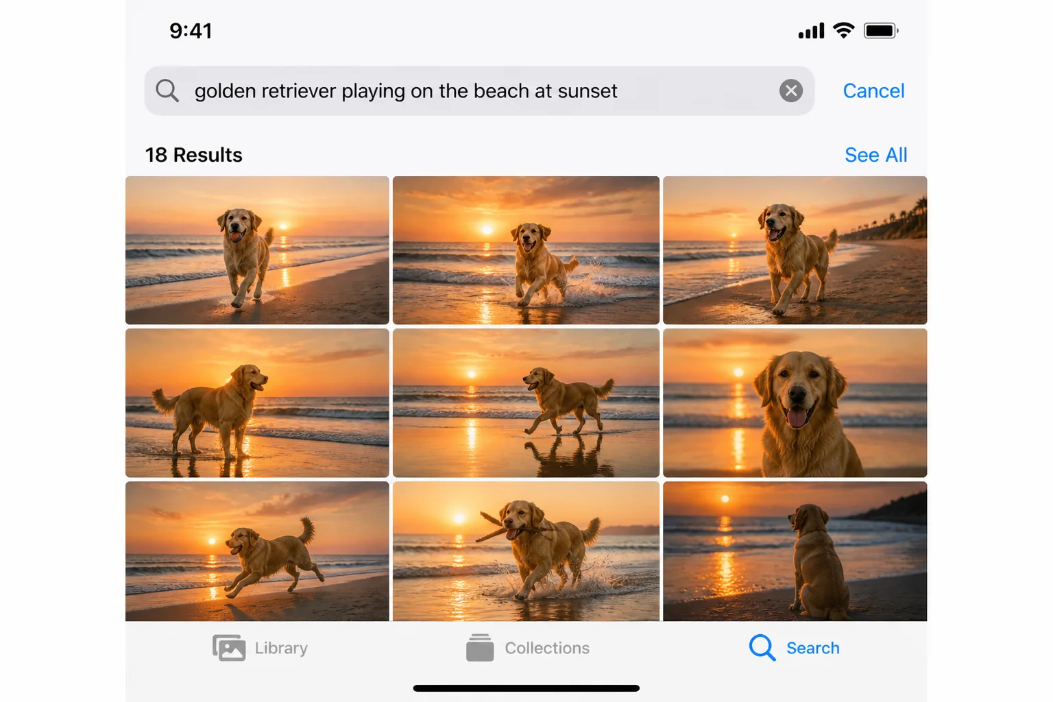 Photos search results after typing a full natural-language descriptive phrase, showing contextually matched thumbnails