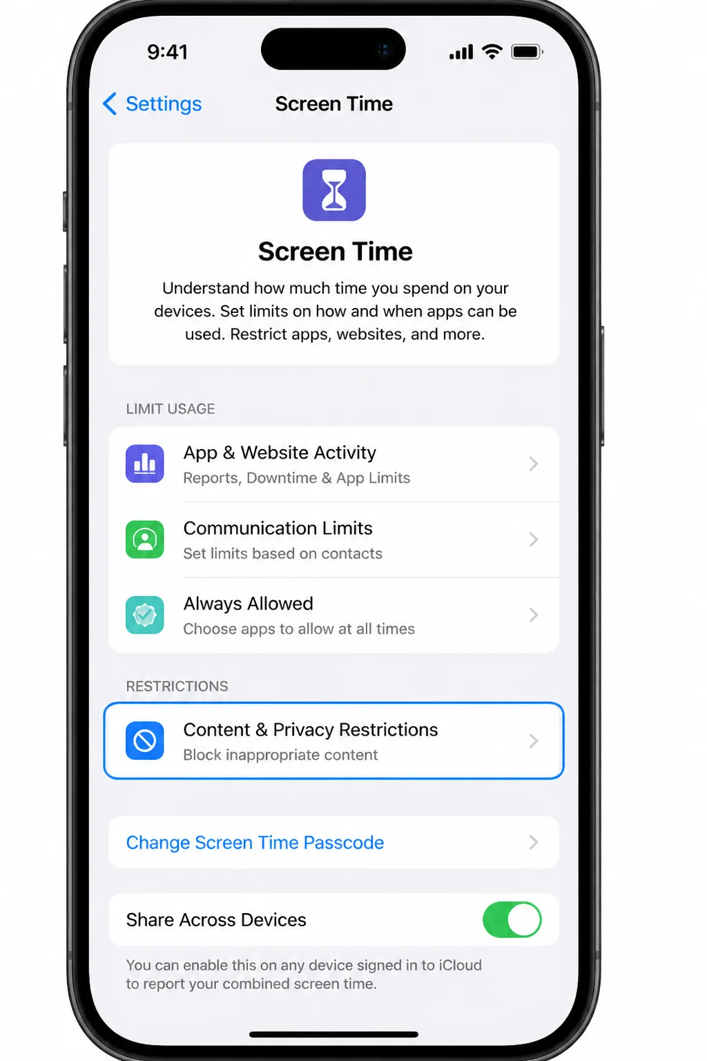 Screen Time Content and Privacy Restrictions area with the section highlighted