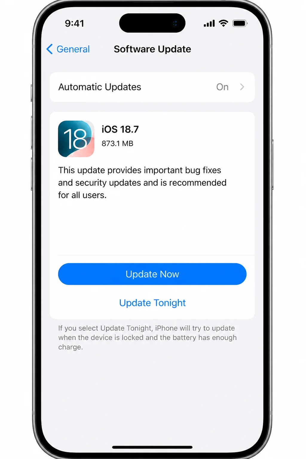 General Software Update page showing where update status or an available update appears, without asserting that an update is available