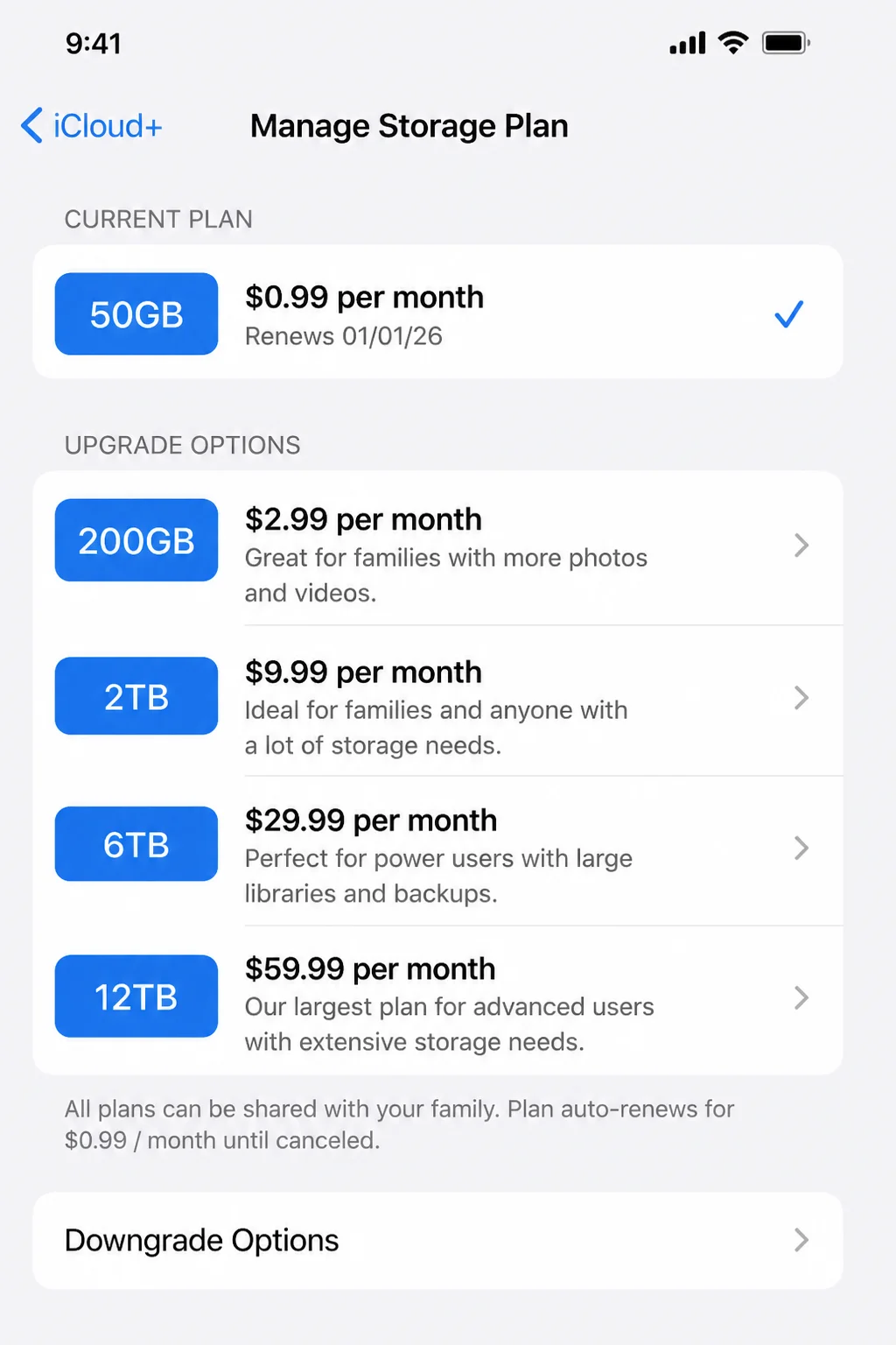 Settings app iCloud storage plan screen showing available iCloud+ tiers with pricing and the currently selected plan