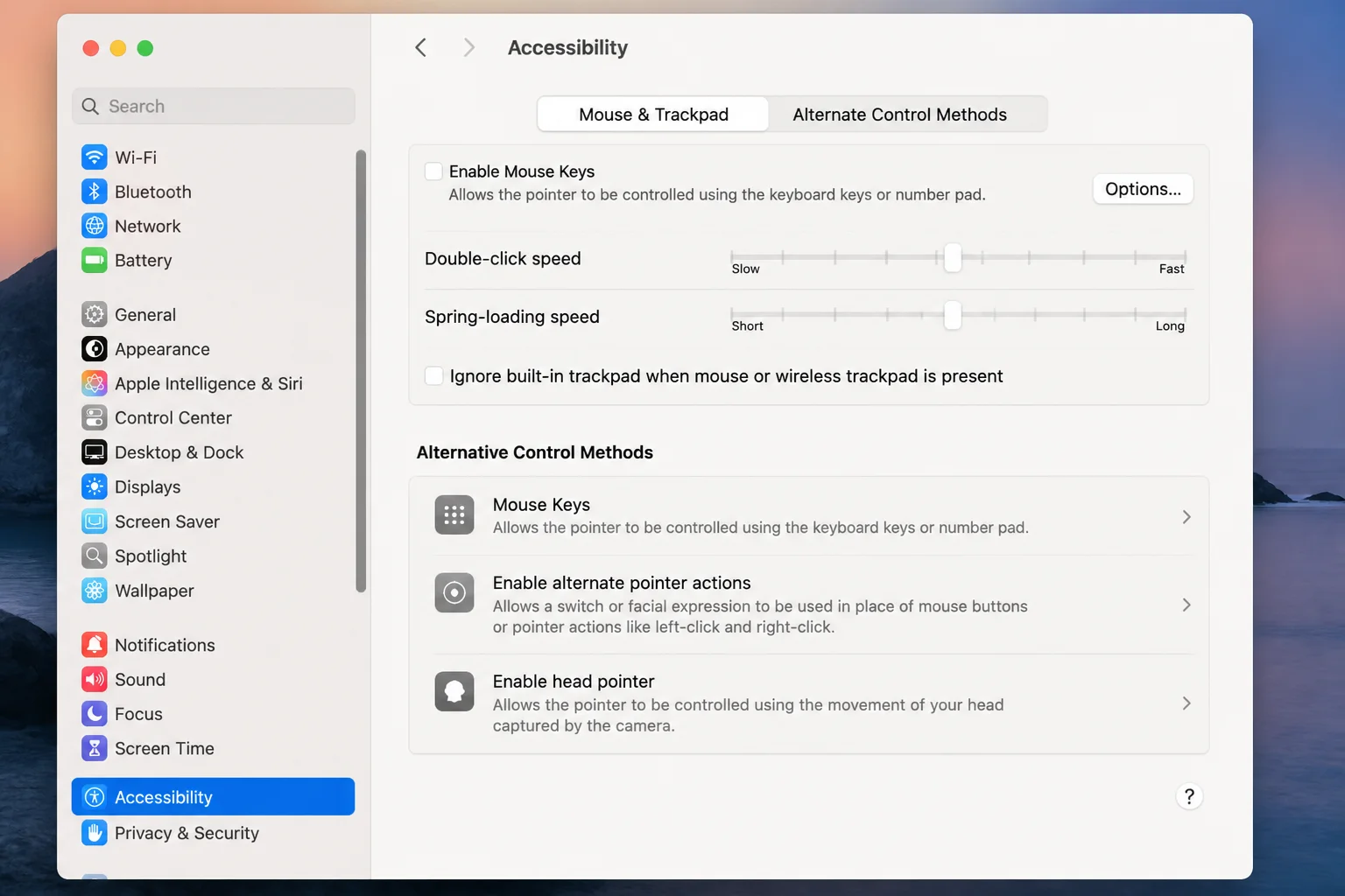 Current Accessibility section containing the Mouse Keys control, showing where it can be reviewed without assuming its current state