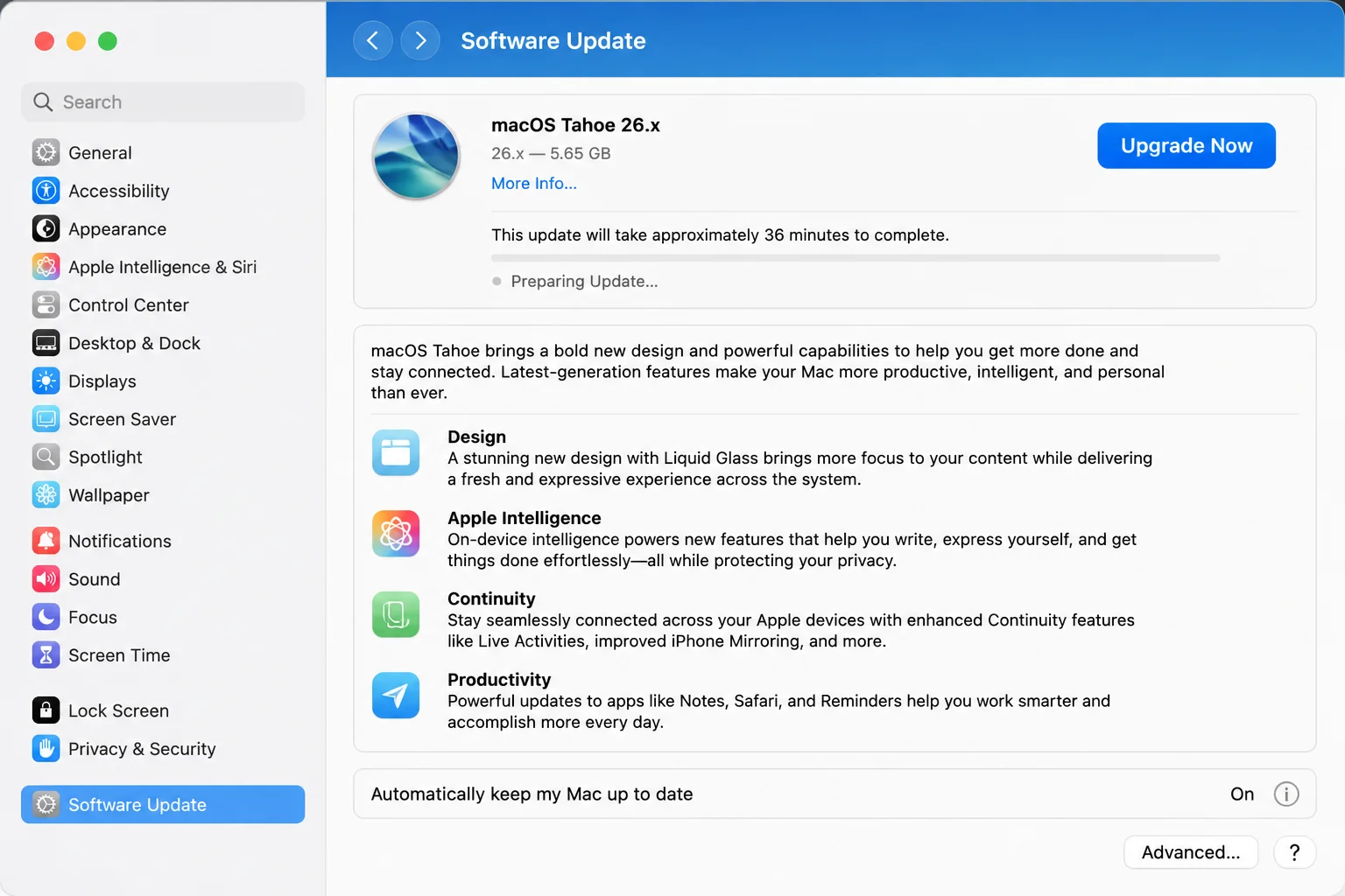 Current Software Update interface showing its status area and update controls without requiring a particular update state