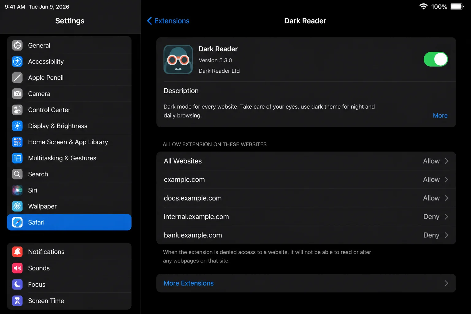 Settings > Safari > Extensions on iPad with an installed extension selected and website access controls visible